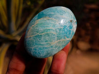 Polished Amazonite Palm Stones x 25 From Madagascar