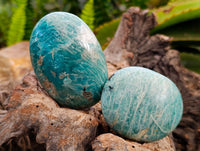 Polished Amazonite Palm Stones x 25 From Madagascar