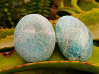 Polished Amazonite Palm Stones x 25 From Madagascar