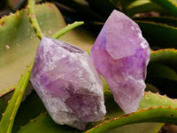 Natural Jacaranda Amethyst Crystals x 12 From Mumbwa, Zambia