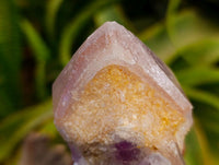 Natural Jacaranda Amethyst Crystals x 12 From Mumbwa, Zambia