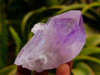 Natural Jacaranda Amethyst Crystals x 12 From Mumbwa, Zambia