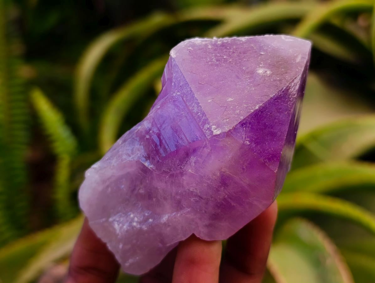 Natural Jacaranda Amethyst Crystals x 12 From Mumbwa, Zambia