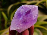 Natural Jacaranda Amethyst Crystals x 12 From Mumbwa, Zambia