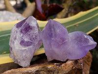 Natural Jacaranda Amethyst Crystals x 12 From Mumbwa, Zambia