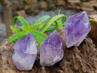 Natural Jacaranda Amethyst Crystals x 12 From Mumbwa, Zambia