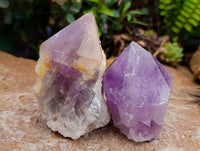Natural Jacaranda Amethyst Crystals x 12 From Mumbwa, Zambia