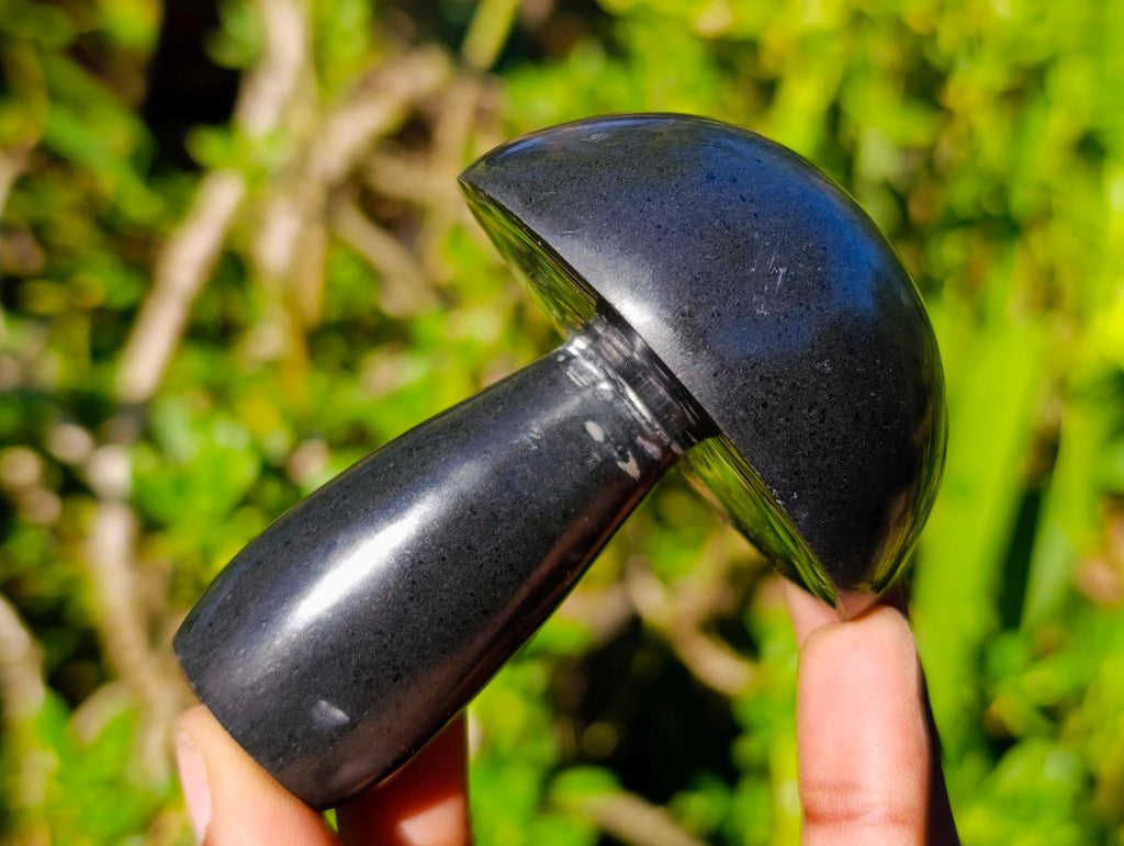 Polished Large Black Basalt Mushrooms x 6 From Madagascar