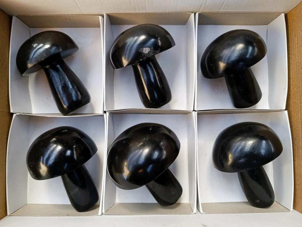 Polished Large Black Basalt Mushrooms x 6 From Madagascar