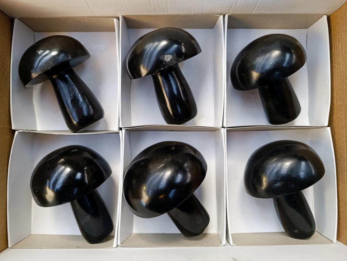 Polished Large Black Basalt Mushrooms x 6 From Madagascar