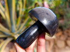 Polished Large Black Basalt Mushrooms x 6 From Madagascar