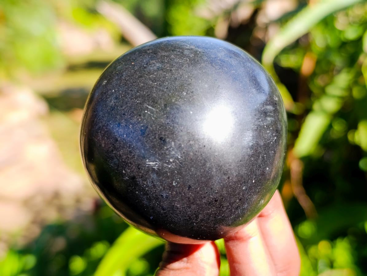 Polished Large Black Basalt Mushrooms x 6 From Madagascar