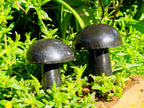 Polished Large Black Basalt Mushrooms x 6 From Madagascar