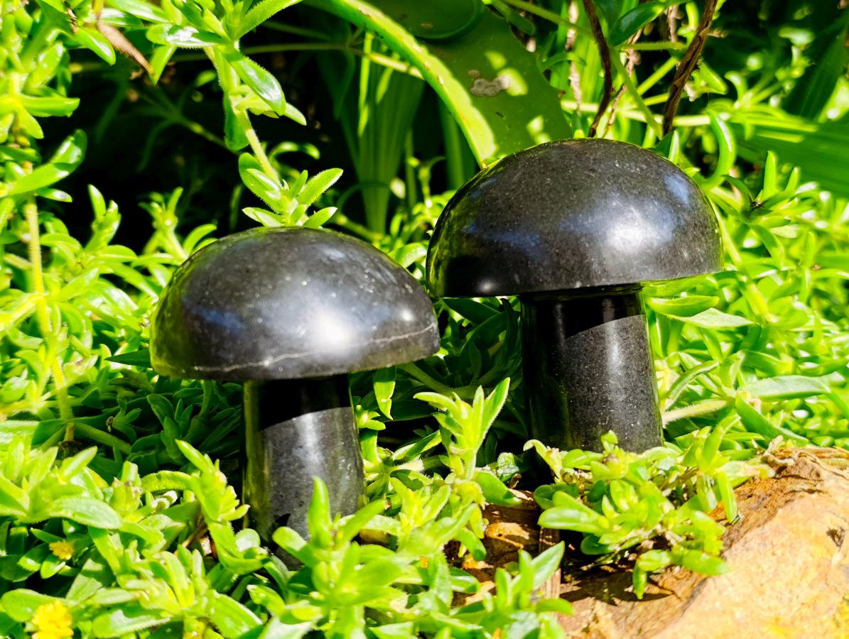 Polished Large Black Basalt Mushrooms x 6 From Madagascar