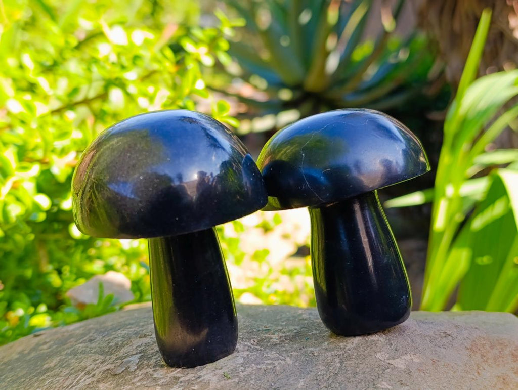 Polished Large Black Basalt Mushrooms x 6 From Madagascar