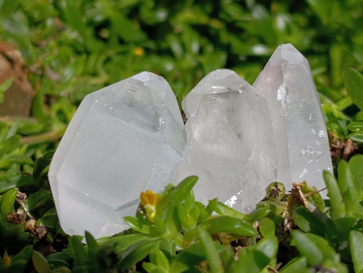 Natural Clear Quartz Crystals x 70 From Madagascar