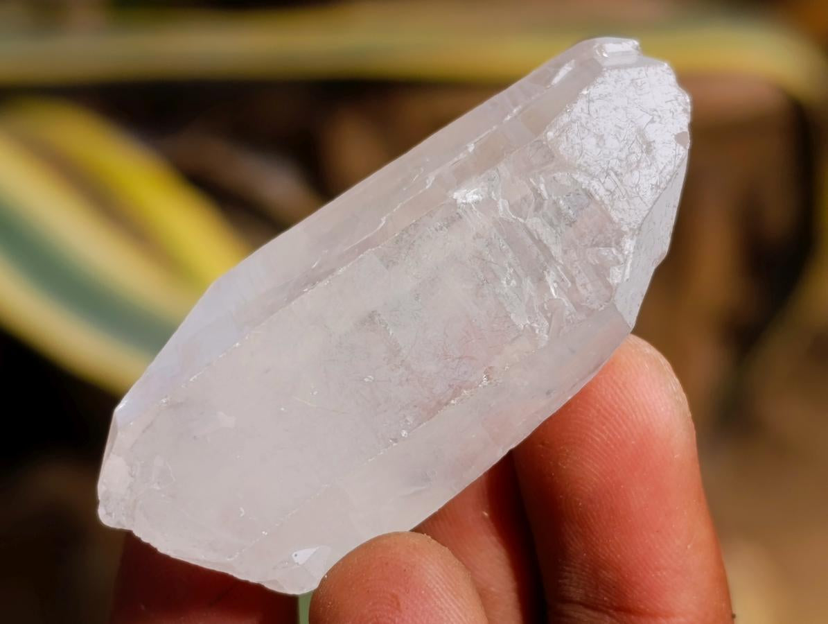 Natural Clear Quartz Crystals x 70 From Madagascar