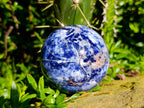 Polished Sodalite Spheres x 2 From Kunene River, Namibia
