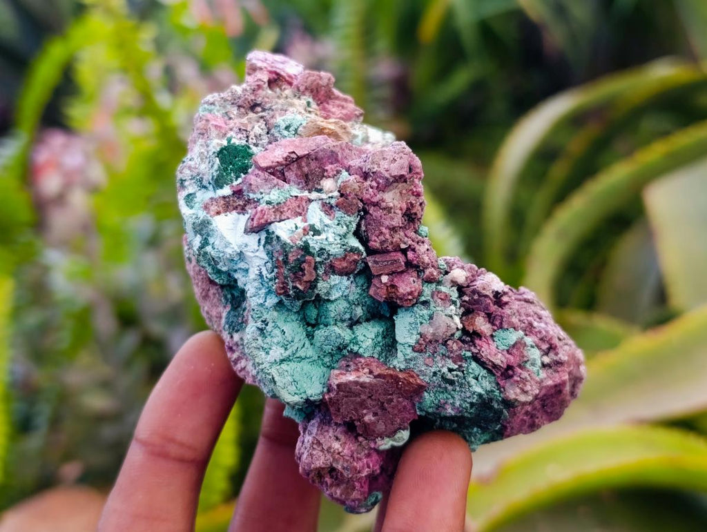 Natural Salrose Cobaltion Dolomite With Malachite Specimens x 6 From Kakanda, Congo