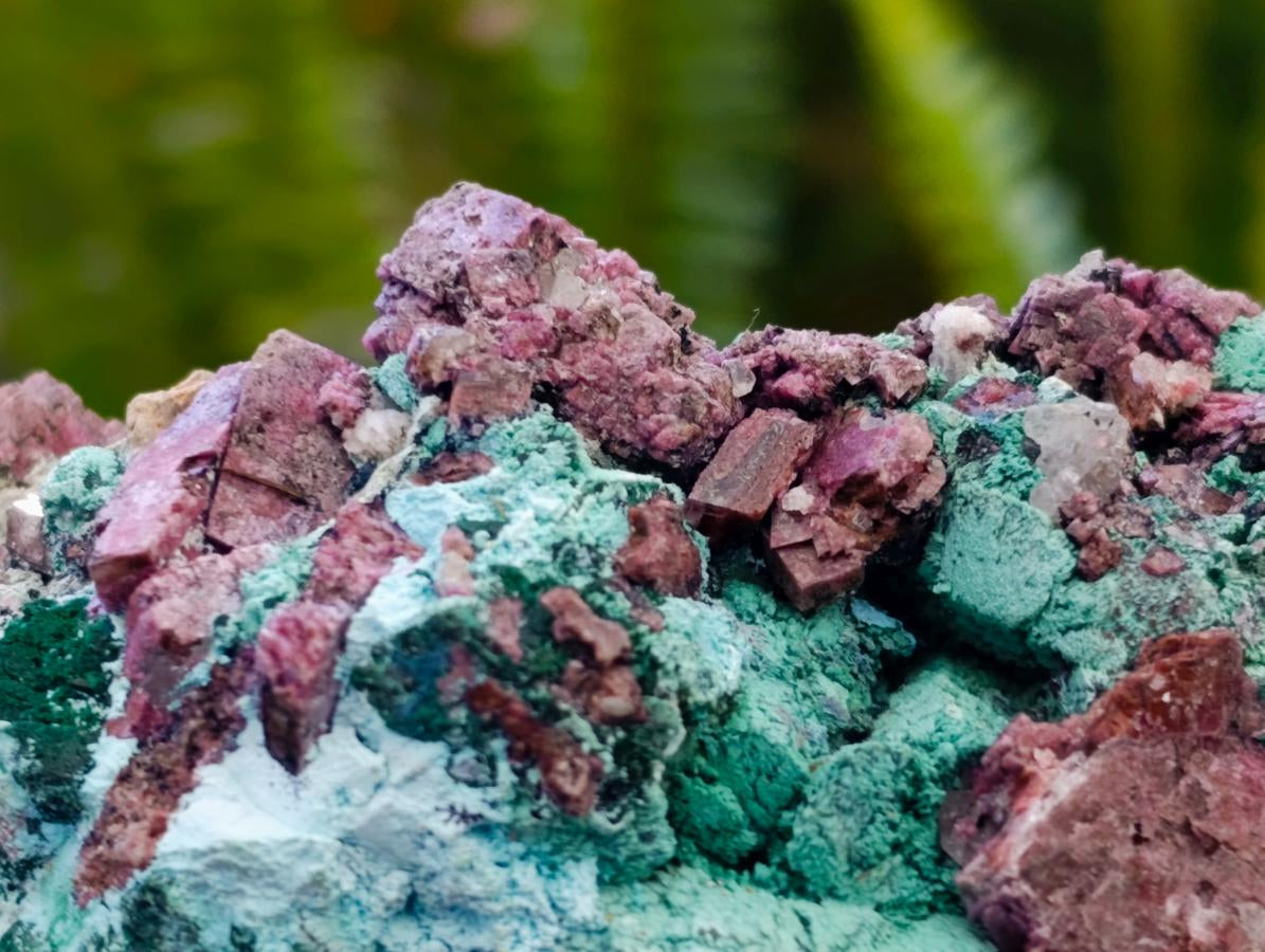 Natural Salrose Cobaltion Dolomite With Malachite Specimens x 6 From Kakanda, Congo