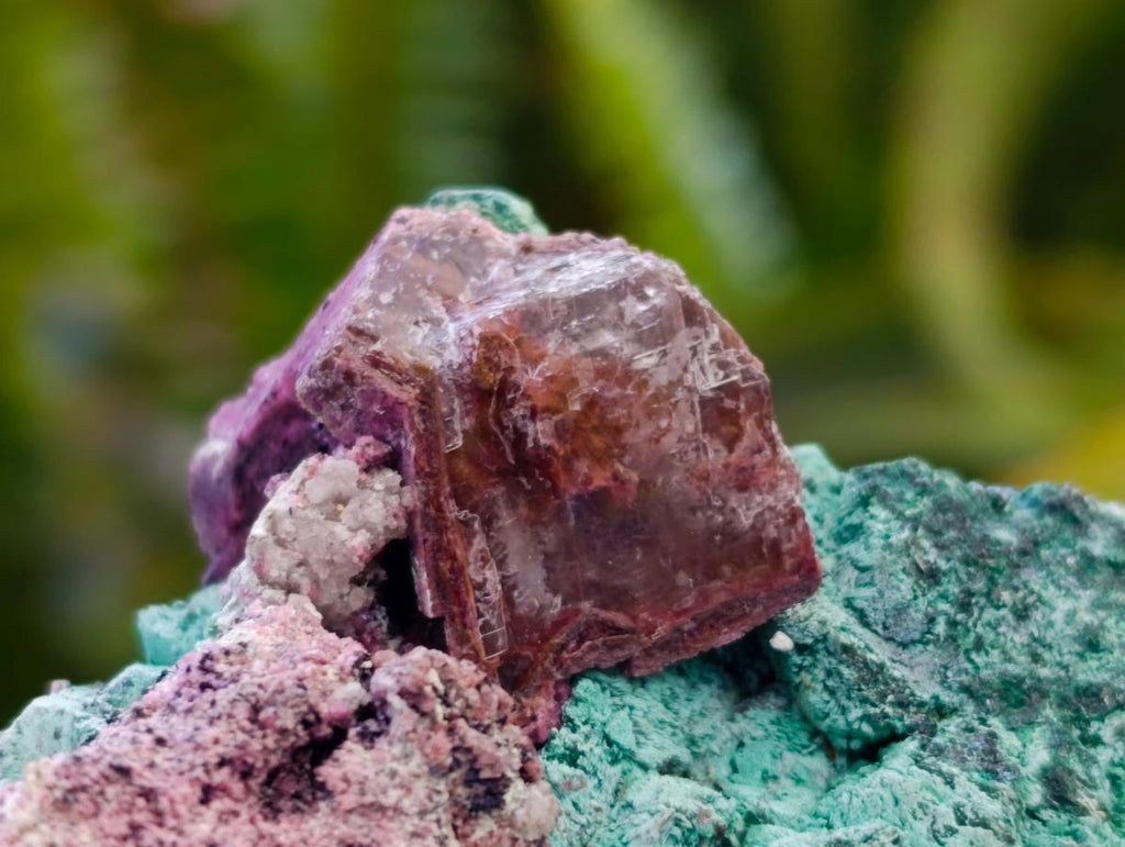 Natural Salrose Cobaltion Dolomite With Malachite Specimens x 6 From Kakanda, Congo