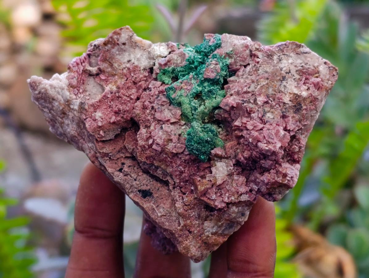 Natural Salrose Cobaltion Dolomite With Malachite Specimens x 6 From Kakanda, Congo