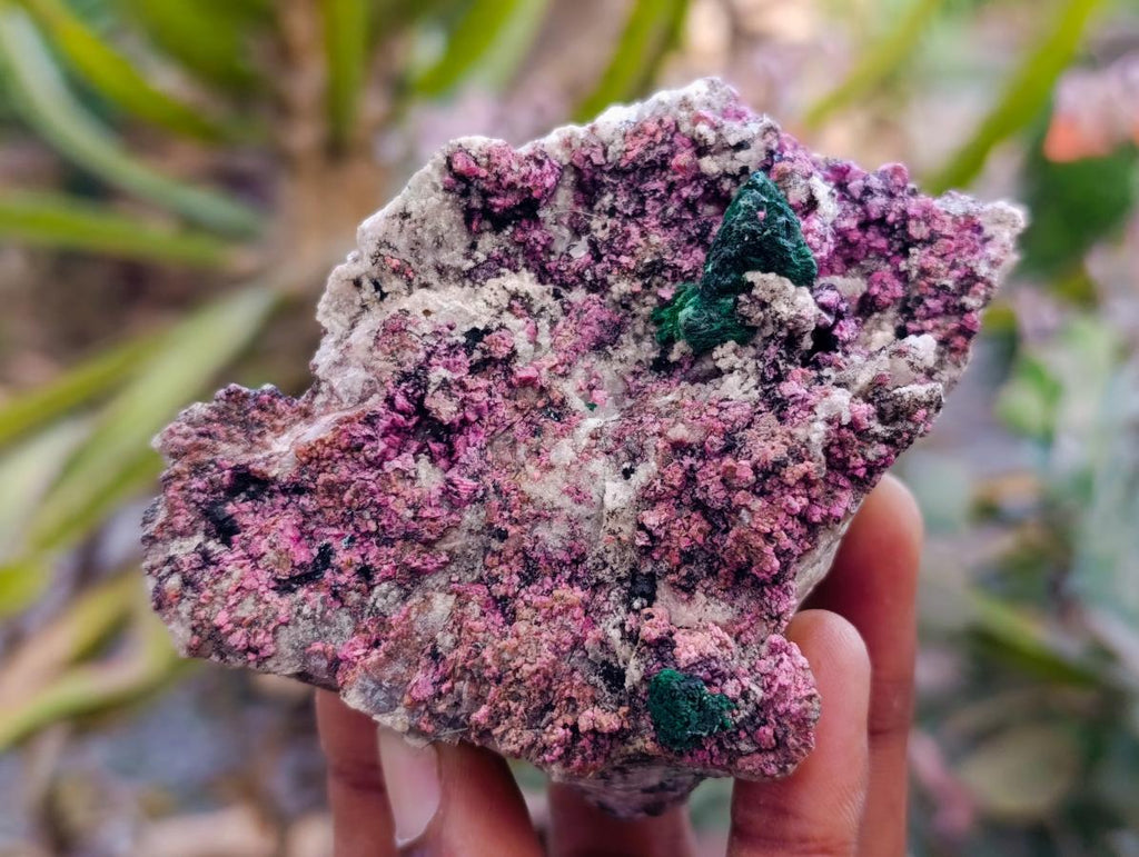 Natural Salrose Cobaltion Dolomite With Malachite Specimens x 6 From Kakanda, Congo