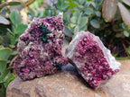 Natural Salrose Cobaltion Dolomite With Malachite Specimens x 6 From Kakanda, Congo