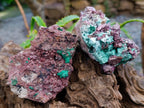 Natural Salrose Cobaltion Dolomite With Malachite Specimens x 6 From Kakanda, Congo