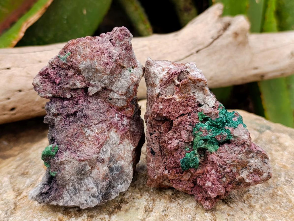 Natural Salrose Cobaltion Dolomite With Malachite Specimens x 6 From Kakanda, Congo