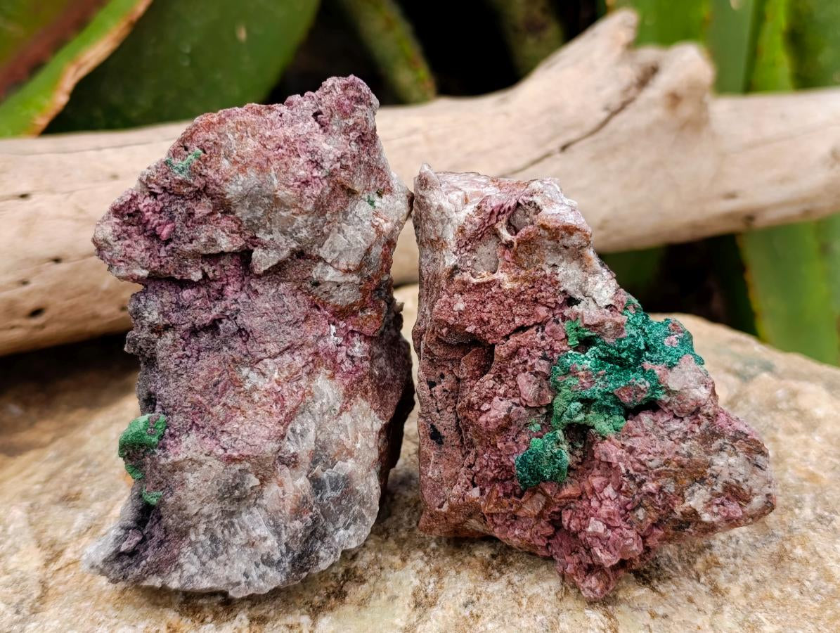 Natural Salrose Cobaltion Dolomite With Malachite Specimens x 6 From Kakanda, Congo