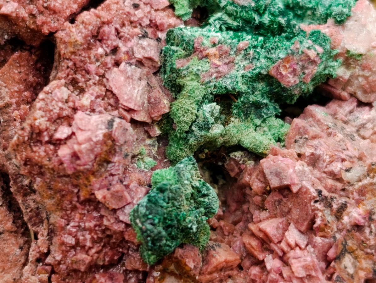Natural Salrose Cobaltion Dolomite With Malachite Specimens x 6 From Kakanda, Congo