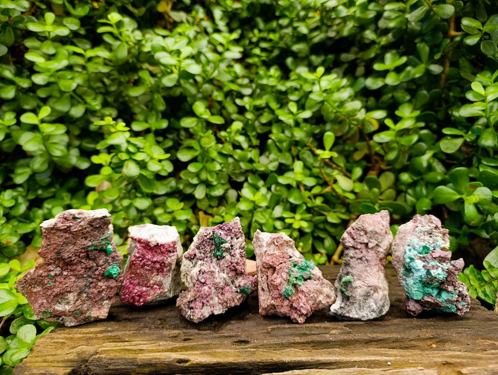Natural Salrose Cobaltion Dolomite With Malachite Specimens x 6 From Kakanda, Congo