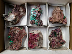 Natural Salrose Cobaltion Dolomite With Malachite Specimens x 6 From Kakanda, Congo