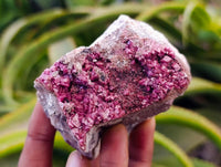 Natural Salrose Cobaltion Dolomite With Malachite Specimens x 6 From Kakanda, Congo