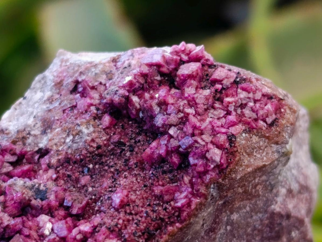 Natural Salrose Cobaltion Dolomite With Malachite Specimens x 6 From Kakanda, Congo
