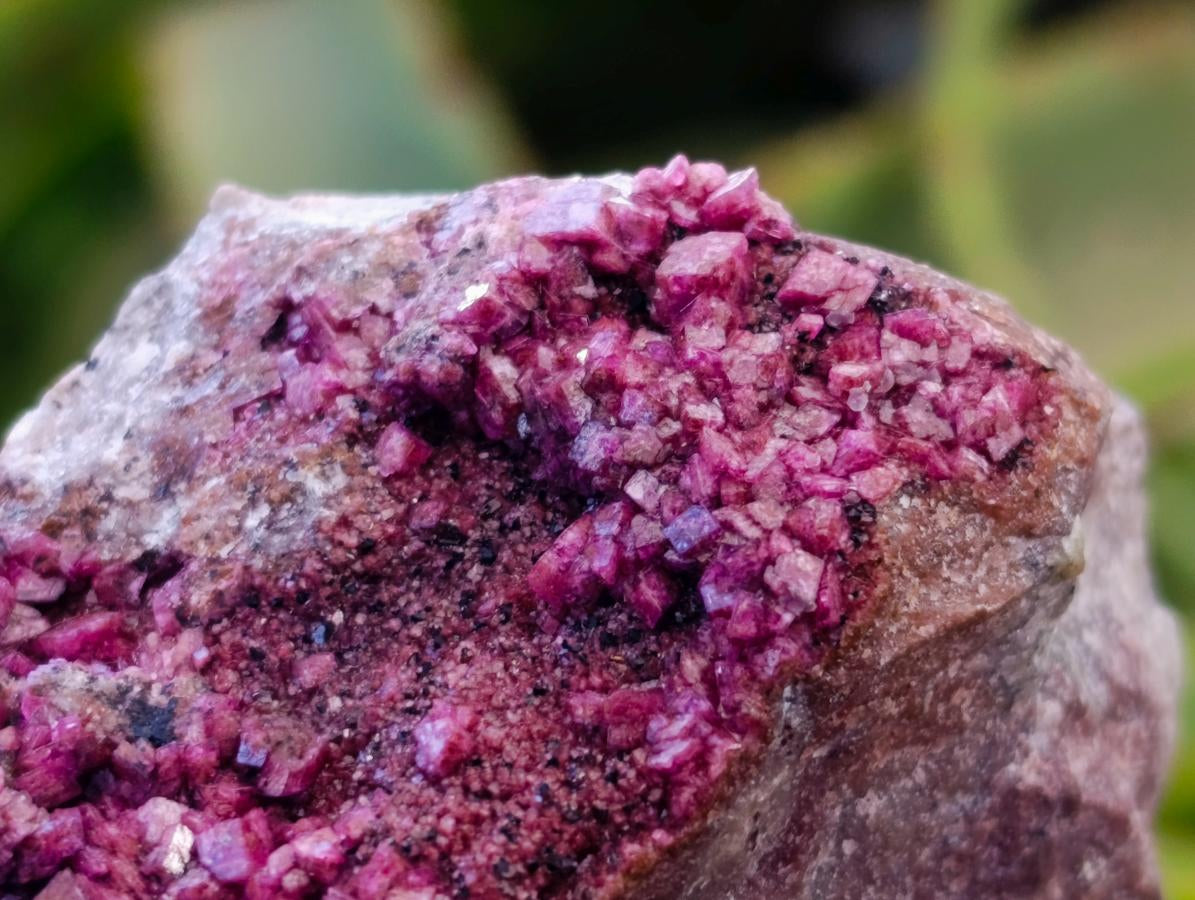 Natural Salrose Cobaltion Dolomite With Malachite Specimens x 6 From Kakanda, Congo