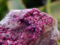 Natural Salrose Cobaltion Dolomite With Malachite Specimens x 6 From Kakanda, Congo
