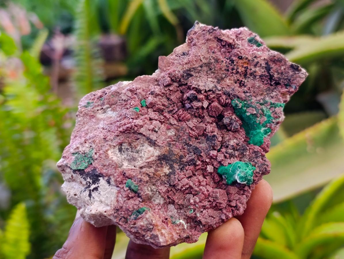 Natural Salrose Cobaltion Dolomite With Malachite Specimens x 6 From Kakanda, Congo