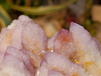 Natural Pale Lilac Spirit Clusters x 2 From Boekenhouthoek, South Africa