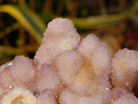 Natural Pale Lilac Spirit Clusters x 2 From Boekenhouthoek, South Africa
