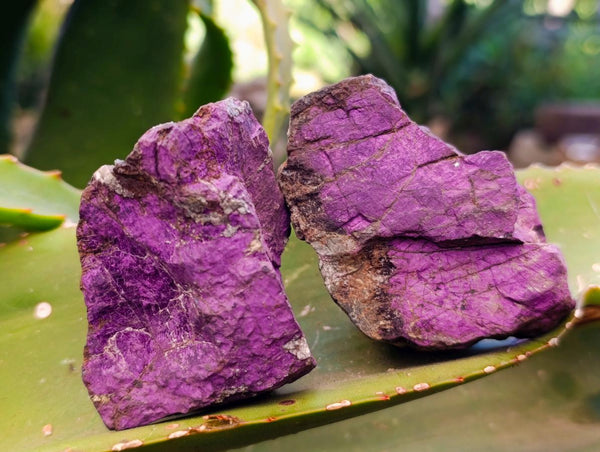 Natural Metallic Purpurite Specimens x 12 From Erongo, Namibia