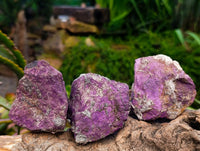 Natural Metallic Purpurite Specimens x 12 From Erongo, Namibia
