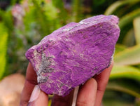 Natural Metallic Purpurite Specimens x 12 From Erongo, Namibia