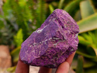 Natural Metallic Purpurite Specimens x 12 From Erongo, Namibia
