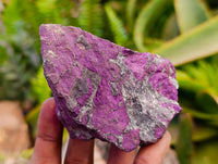 Natural Metallic Purpurite Specimens x 12 From Erongo, Namibia