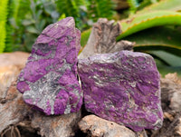 Natural Metallic Purpurite Specimens x 12 From Erongo, Namibia