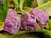 Natural Metallic Purpurite Specimens x 12 From Erongo, Namibia