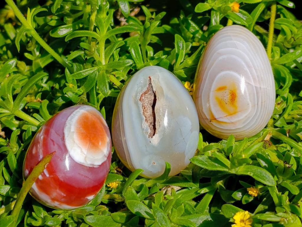 Polished Red Shashe River Agate Eggs x 12 From Shashe River, Zimbabwe