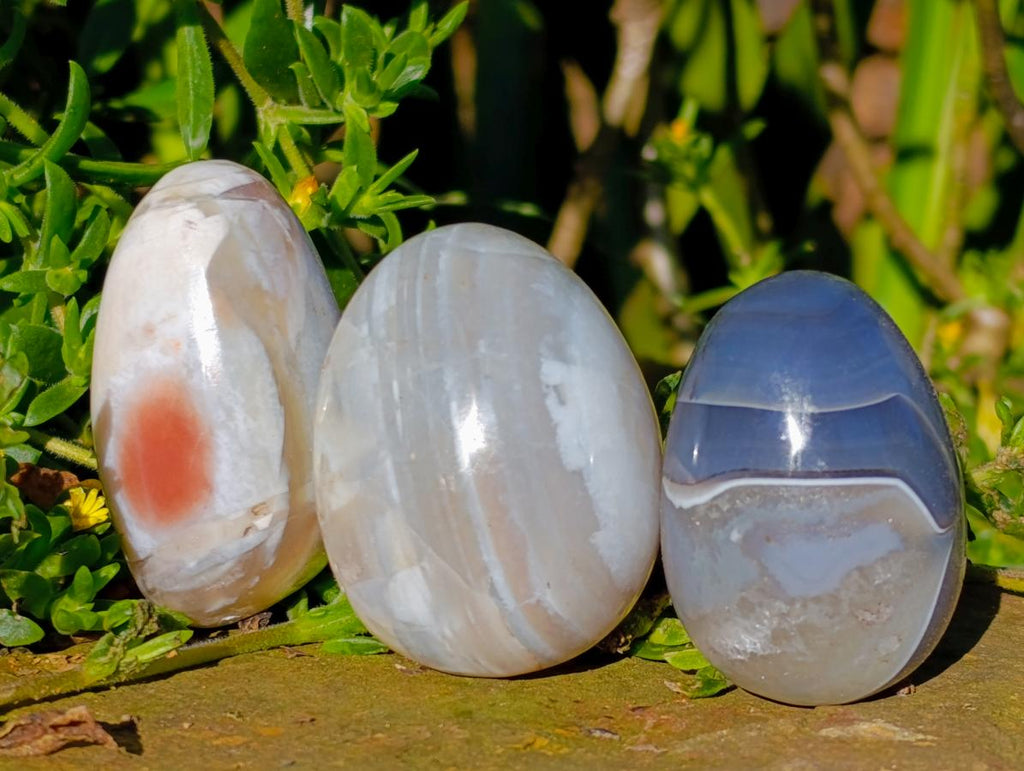 Polished Red Shashe River Agate Eggs x 12 From Shashe River, Zimbabwe